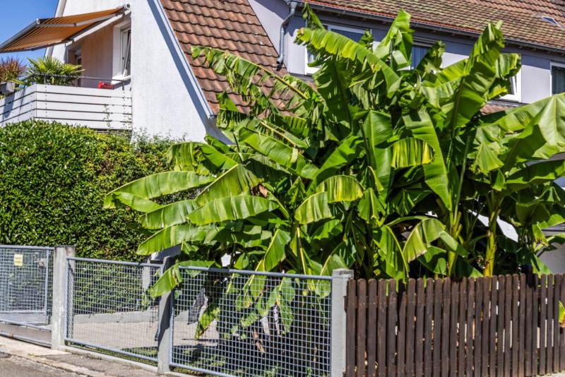Ferienhaus Jäger - image 9
