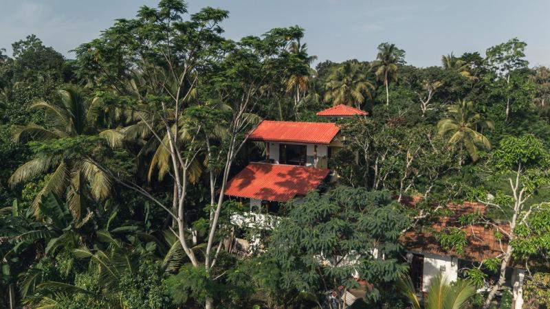 Golden Paddy Villa - image 12