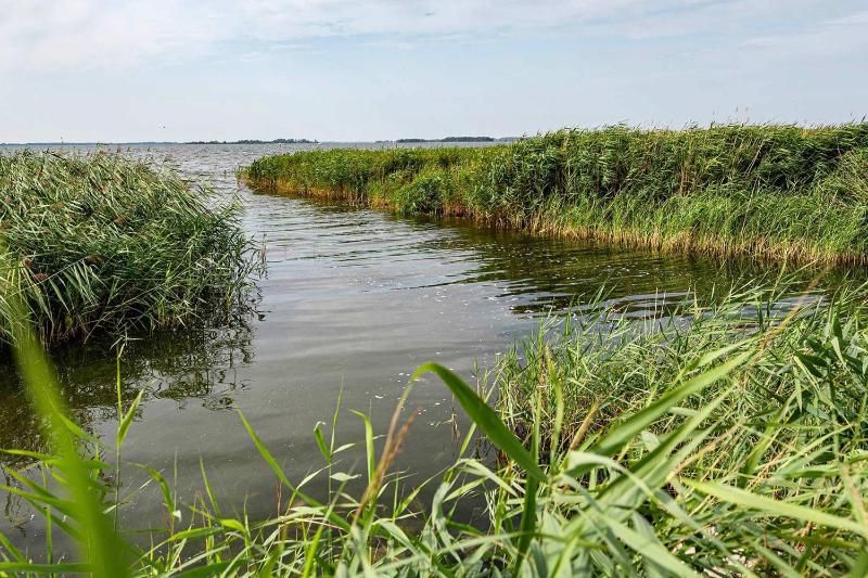 Nur 100 m zum Strand FeWo Meerweh - image 15