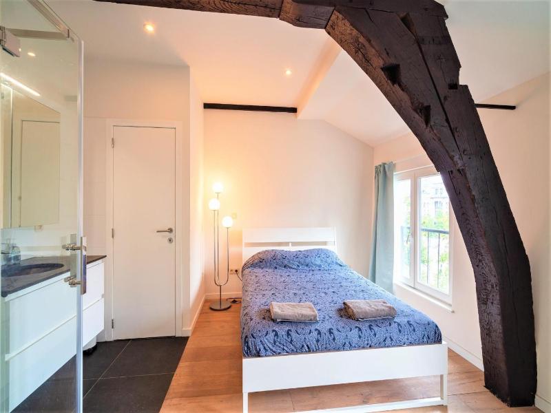 Spacious Flat in Antwerp City Centre - image 6