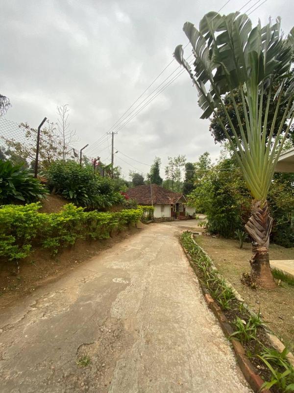 Gope town Homestay - image 11