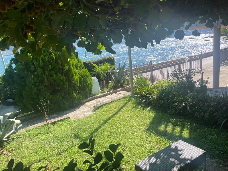 MINA SeaView - image 6