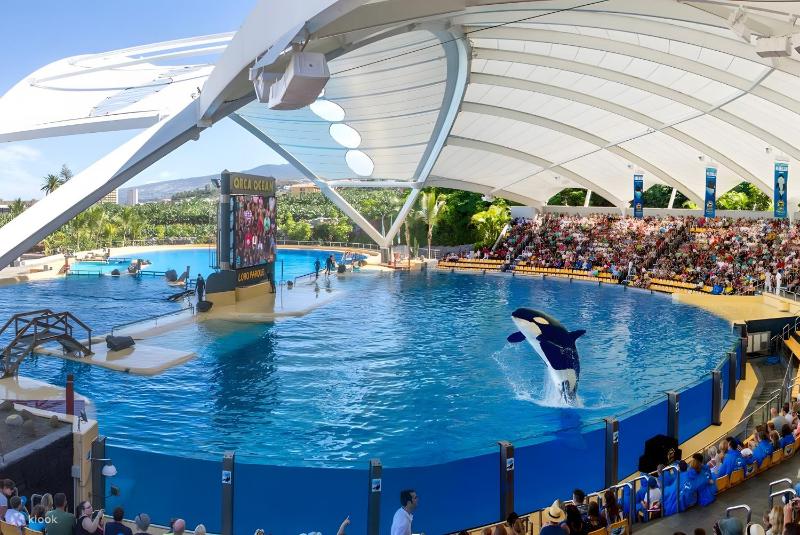 Bonito apart sea view playa jardin - image 28