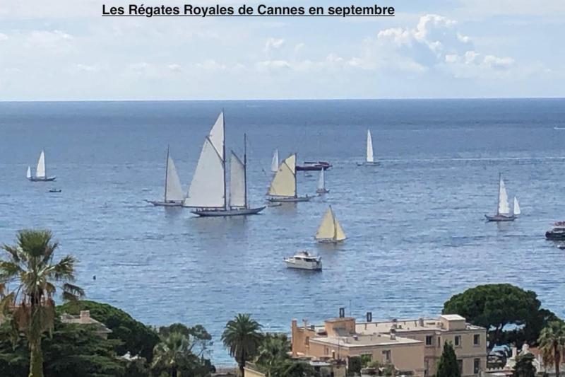 Sea views and beautiful pool - image 10
