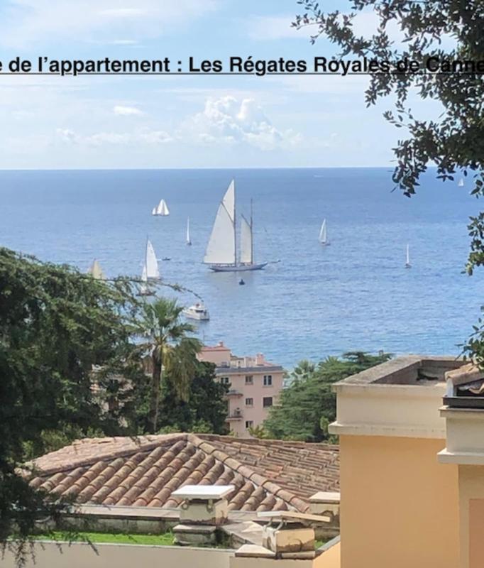 Sea views and beautiful pool - image 28