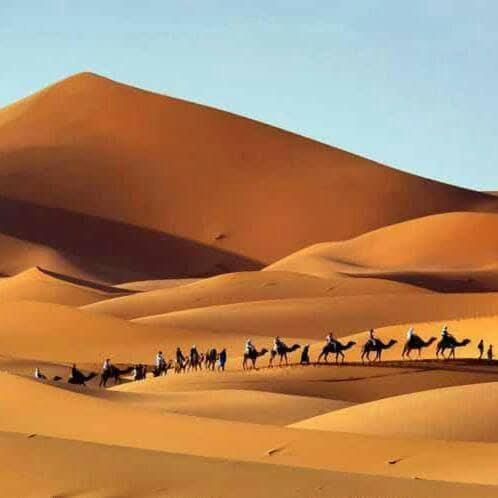 Moha Desert Camp - image 34