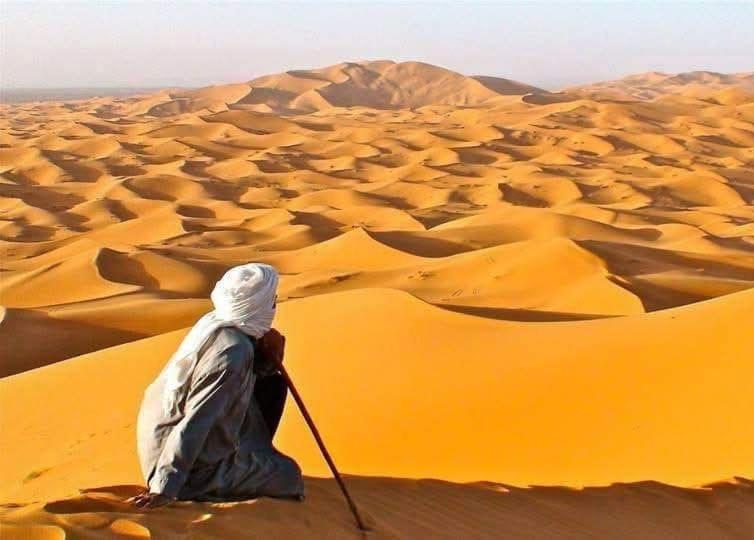 Moha Desert Camp - image 35