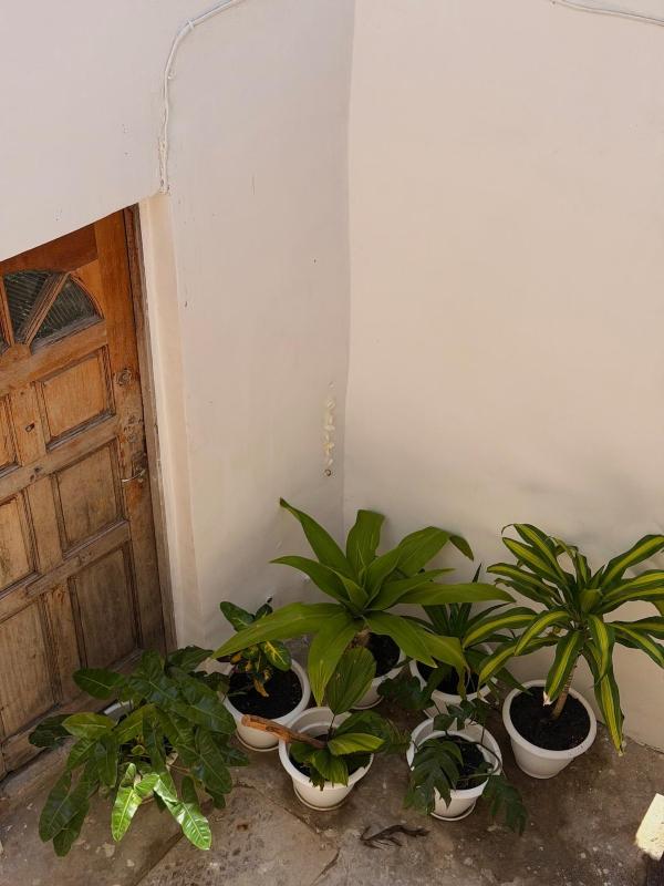 Kumbukumbu Stays - image 3