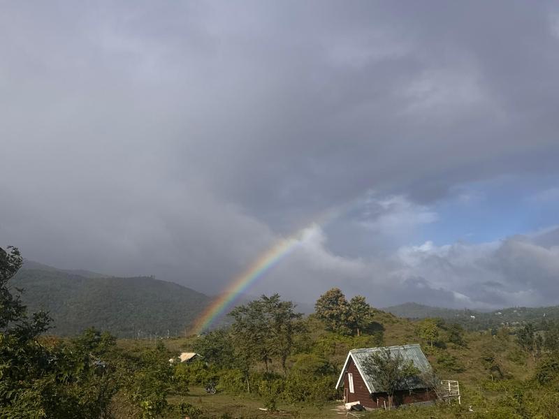 WindandWild - image 14