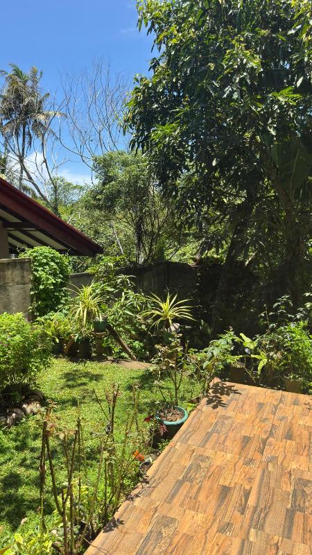 Beachside Green Homestay - image 4