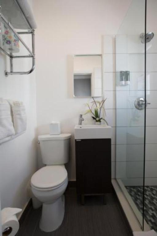 Odyssey of South Beach Apart Hotel - image 10