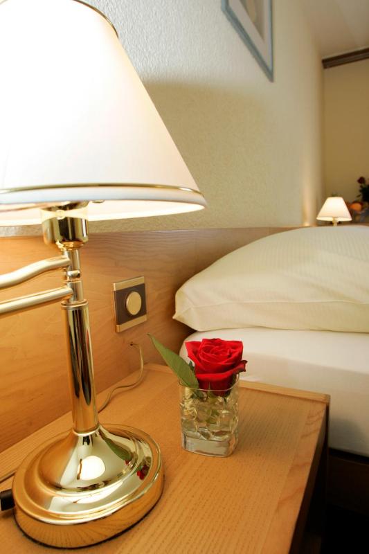 Double or Twin Room image 4