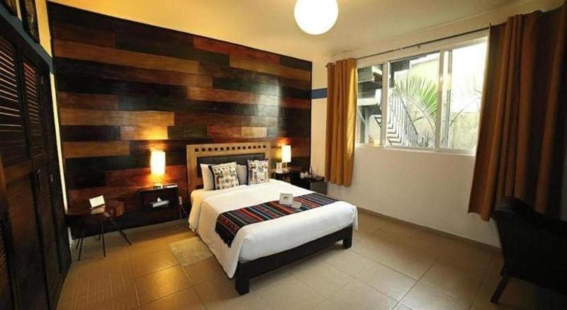 Casa Anzures Thematic - image 38