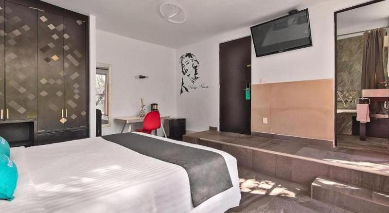 Casa Anzures Thematic - image 37