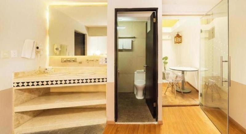 Casa Anzures Thematic - image 34