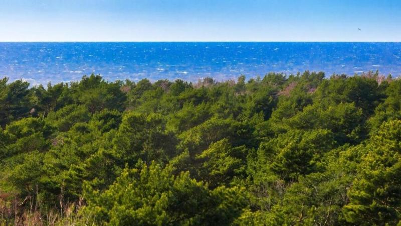 Palanga Sea View 8 floor 812 Apartment - image 14
