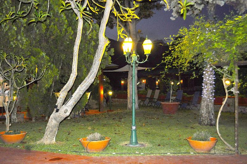 Small Paradise Palermo - image 7