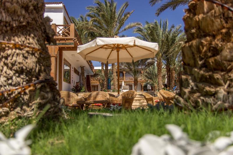 Acacia Dahab Hotel - image 8