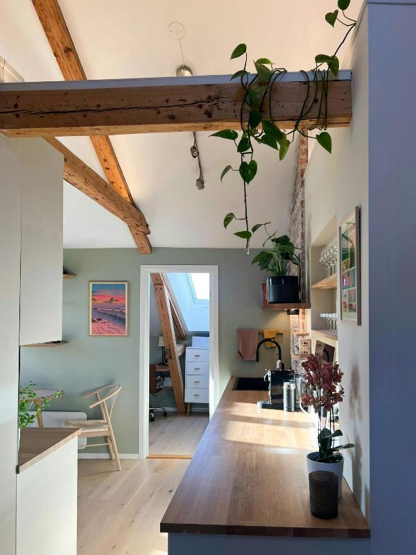 Loft flat with exposed beams and 4 m ceilings - image 12