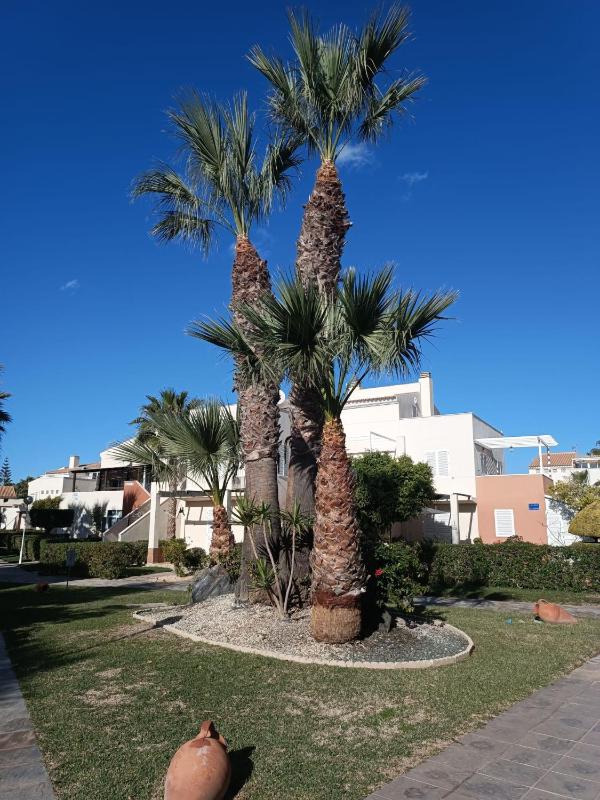 Vera Natura apartamento Alaia - image 6