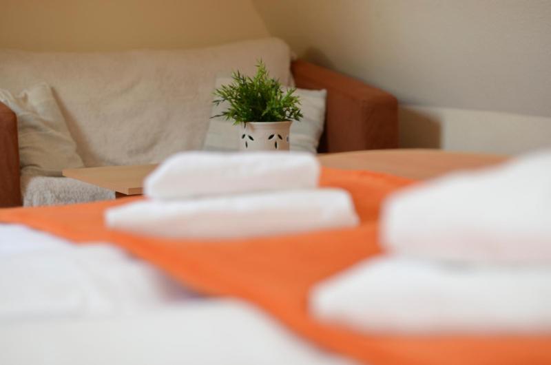 Double or Twin Room image 4