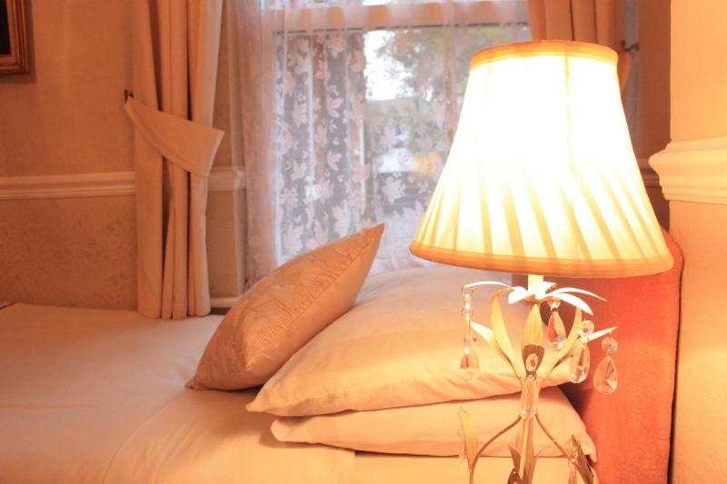 Standard Twin Room image 4
