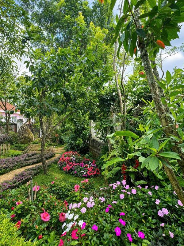 Bordeaux Boutique Hotel Dalat - image 47