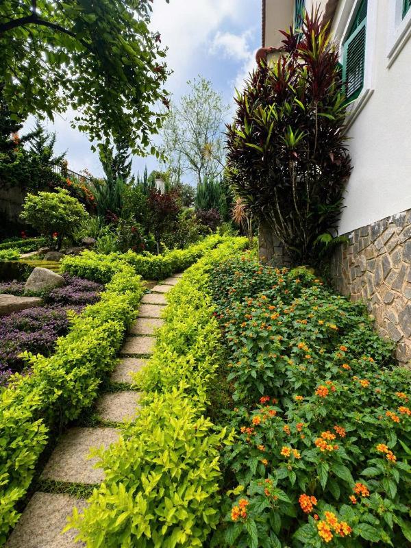 Bordeaux Boutique Hotel Dalat - image 28