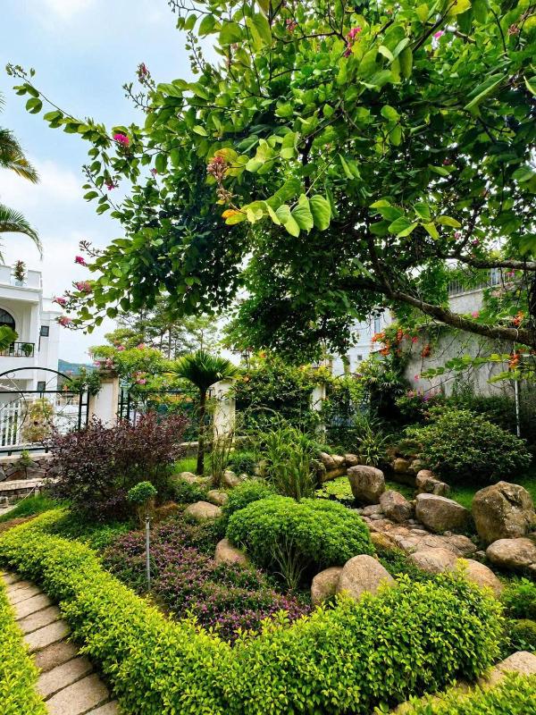 Bordeaux Boutique Hotel Dalat - image 35