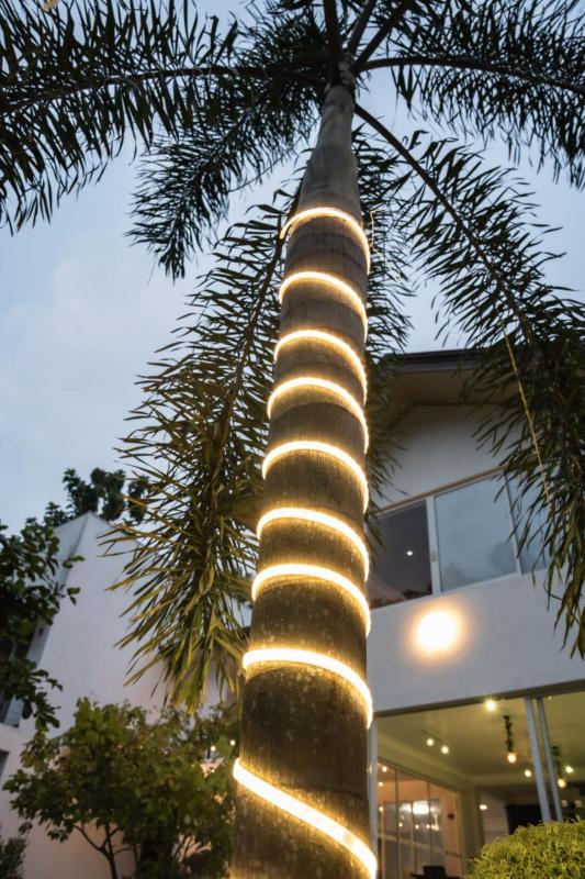 360 Southern View- Beliatta - image 5