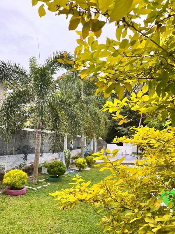 360 Southern View- Beliatta - image 33
