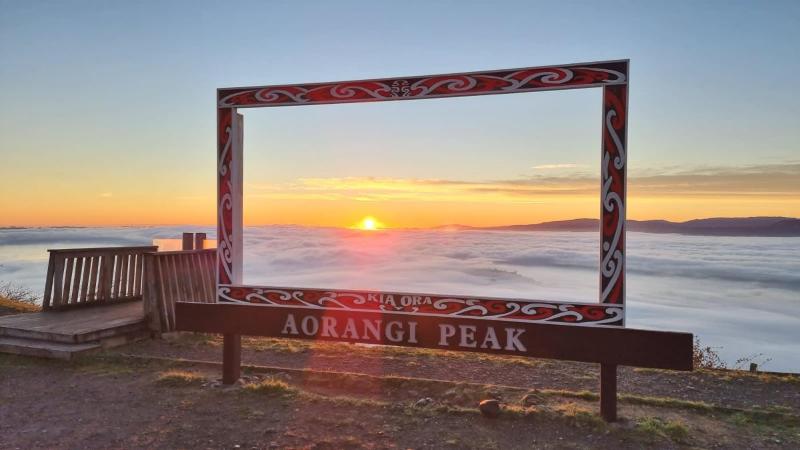 Aorangi Peak Cabins 1 by Tiny Away - image 49