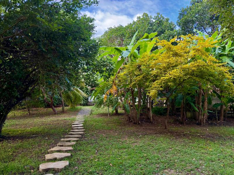 Calm Villas - image 9