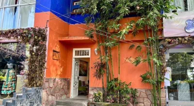 Casa Anzures Thematic - image 19