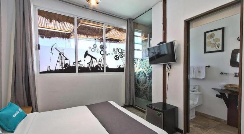 Casa Anzures Thematic - image 3