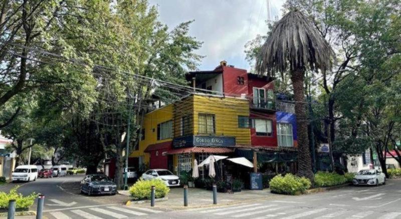 Casa Anzures Thematic - image 8