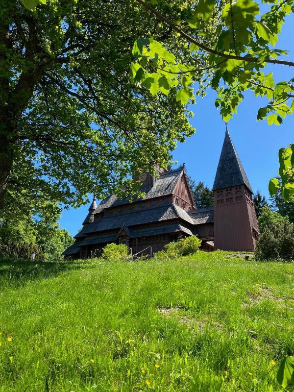Harz-Fewo-Wolf - image 29