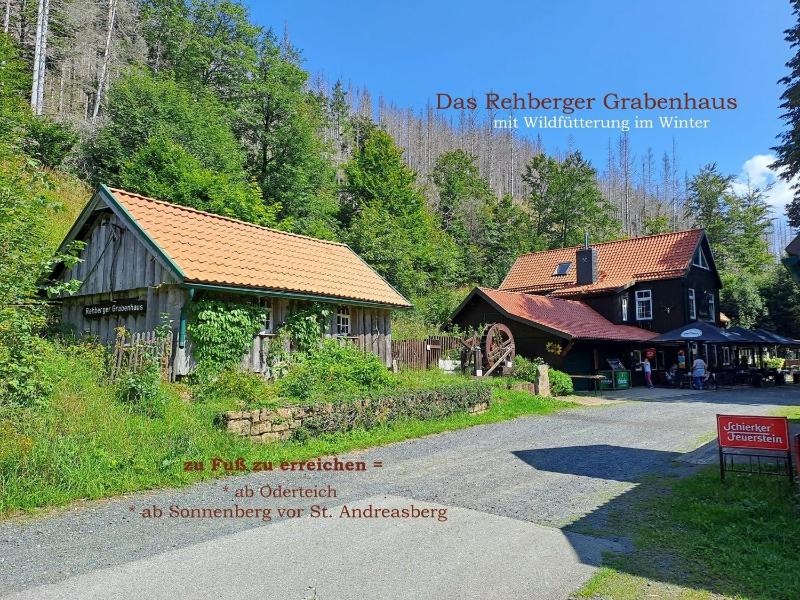 Harz-Fewo-Wolf - image 25