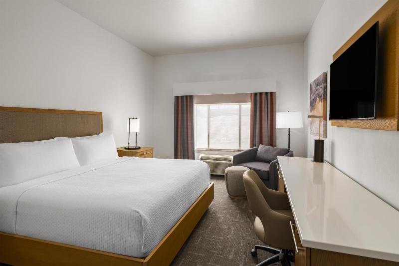 Best Western Premier Houston Downtown/Convention Center Hotel - image 23