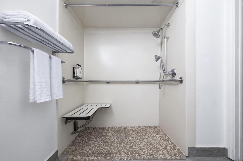 Best Western Premier Houston Downtown/Convention Center Hotel - image 21