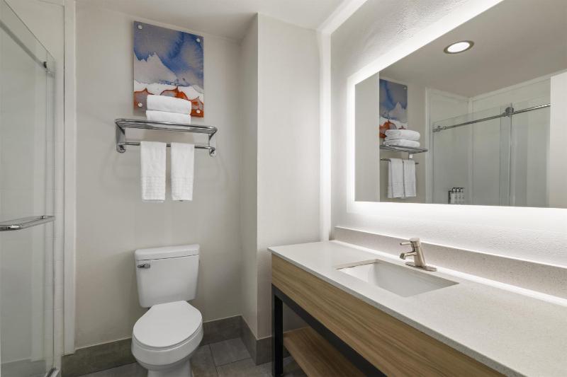 Best Western Premier Houston Downtown/Convention Center Hotel - image 15
