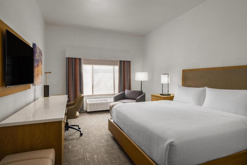Best Western Premier Houston Downtown/Convention Center Hotel - image 13
