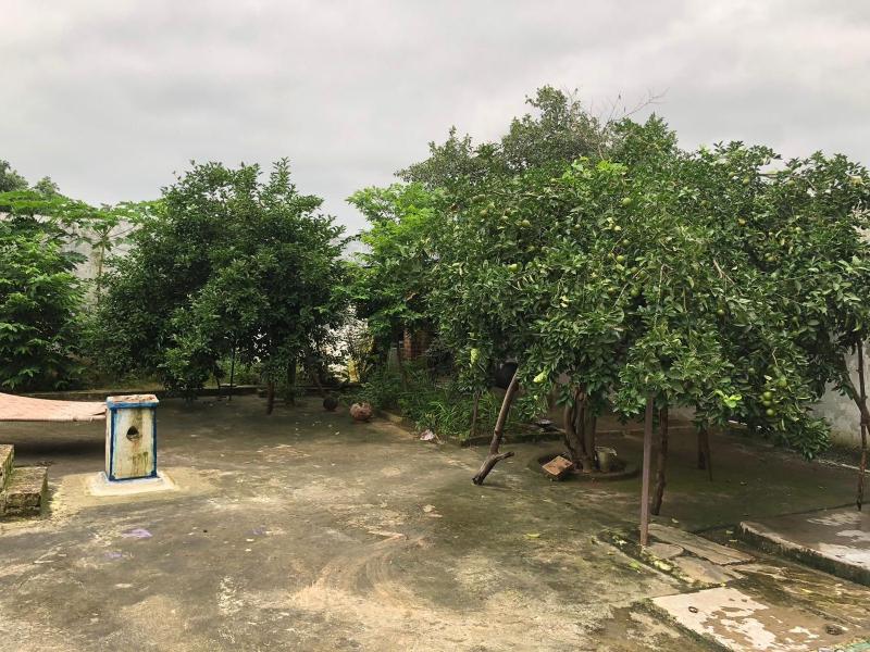 Parvati Home Stay - image 3