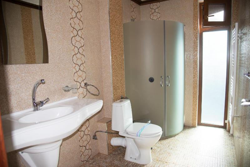 Deluxe Villa image 2