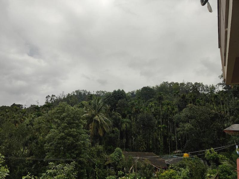 Shiva's nest - image 4
