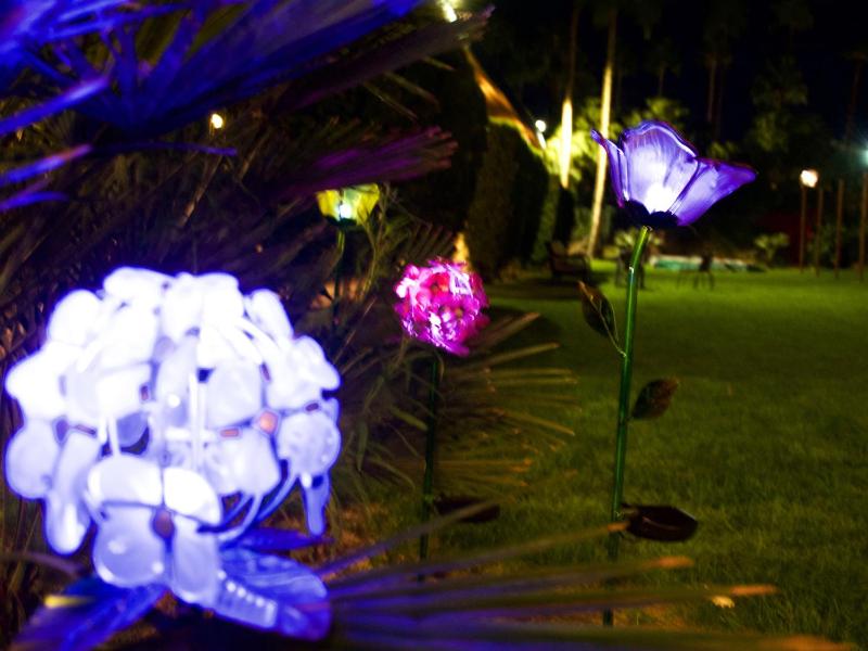 Delos Reyes Palm Springs - image 5