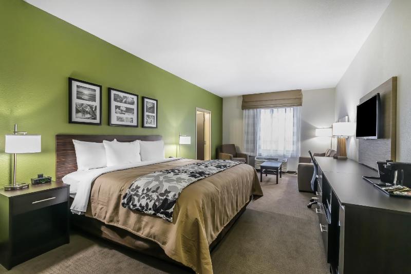 King Suite image 3