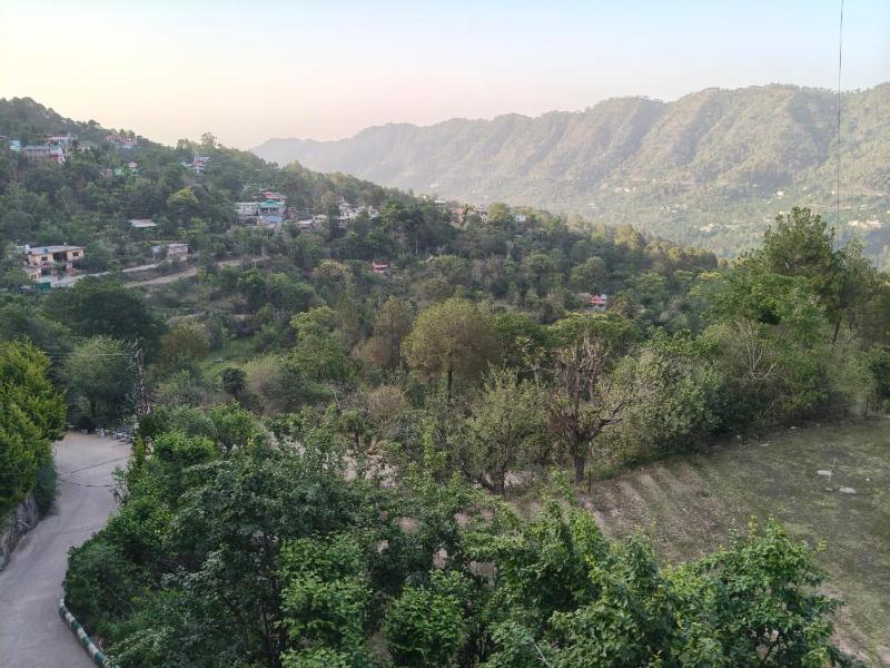 Himalayan Dreams - image 3
