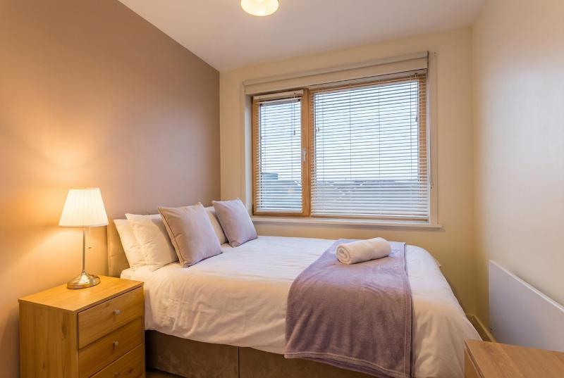 Stylish Central Dub Apt Aviva Stad Free Parking - image 11
