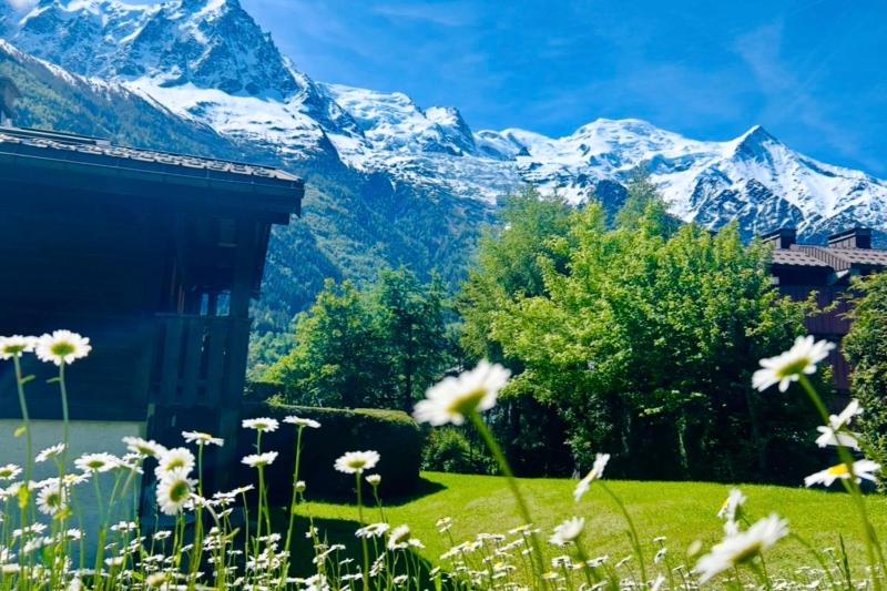 Cozy with garden parking and Mont-Blanc view - image 40